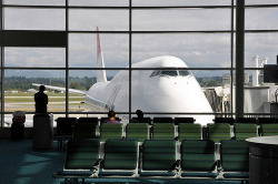 youlikeairplanestoo:  Tiny travelers and one jumbo 747. Nice snap by Doug. Full version here. 