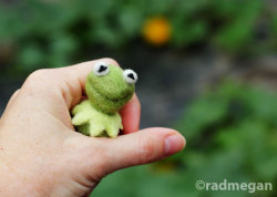 southernsara:  (via Needle Felted Kermit The Frog @Craftzine.com blog) 