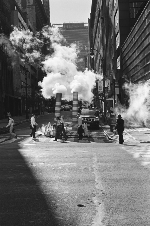 bagnostian:  apocalyptic new york. midtown, nyc. (Fuji Classica Natura)