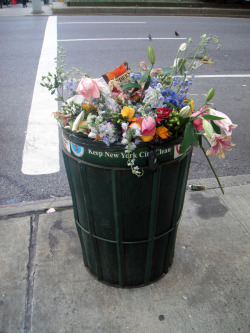 hadaes:a bin in NYC after valentine’s dayThink