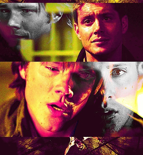 Have You Ever Been Alone In A Crowded Room Sam & Dean | Have you ever been alone in a crowded room well...