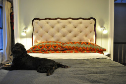 theretherekaetee:  (via How To: Diamond Tufted Headboard, Part 3 |) 