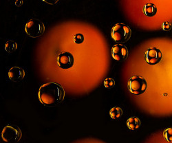 coffeenuts:  Orange Refractions Revisited