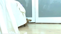 sangalangalang:  hexleviosa:  HAHAHA OMG ! SO ADORABLE ! :3  MY LIFE.I NEED ME