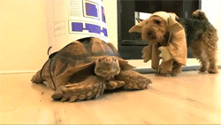 sangalangalang:  hexleviosa:  HAHAHA OMG ! SO ADORABLE ! :3  MY LIFE.I NEED ME