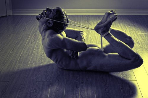 hogtie