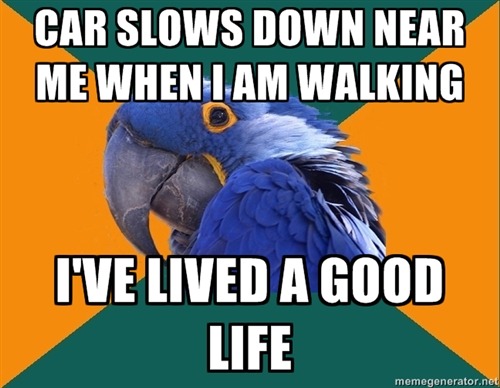 megustamemes:  Paranoid Parrot Follow this blog for more memes and rage comics. 