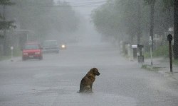 sociedadedospoetasmortos:  Abandonar quem