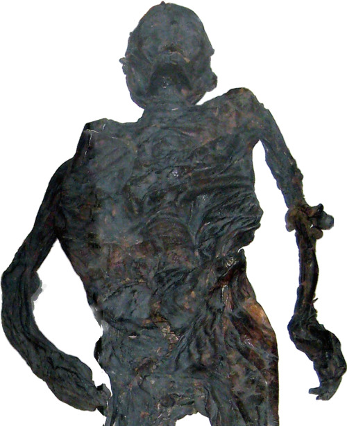 theossuary:Thought I’d get back to bog bodies again, folks.This is Haraldskær Woman. She was found i