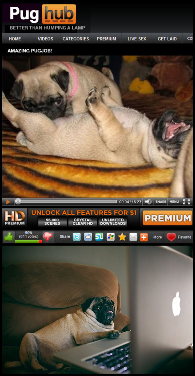 shelttonsalles:  LOL 