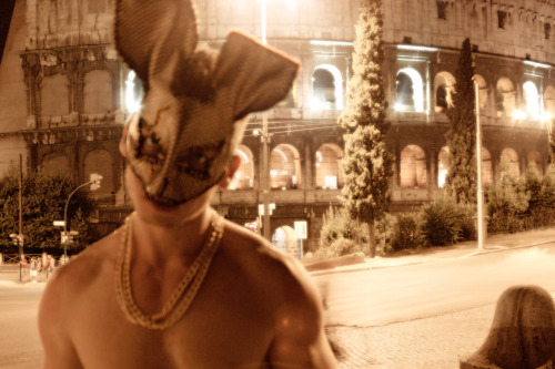 ROMAN the RABBIT - Rome, Italy 2011 - Alexander Guerra