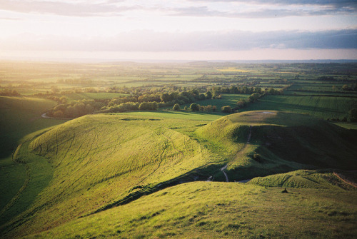 themaxdavis:  CNV00031 by Simon J Byrne on Flickr. 