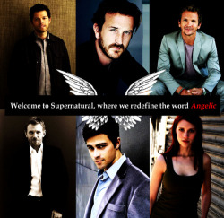 annie-shines:  Welcome to #Supernatural,