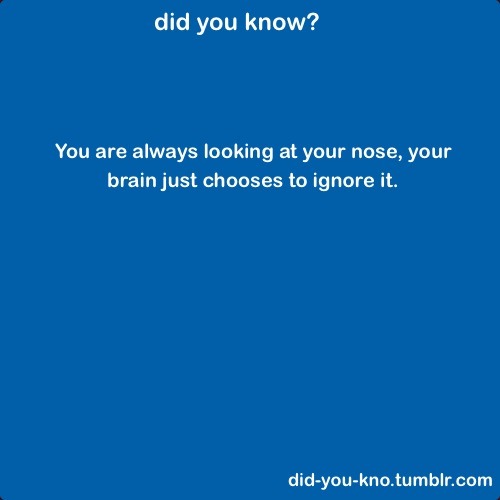 did you know?