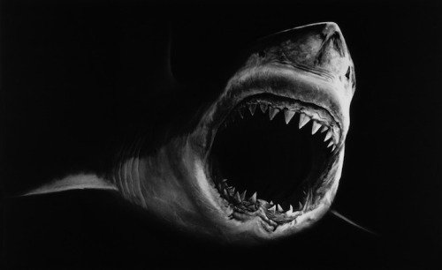 ianbrooks:Super Reals Charcoal Shark Drawing by Robert LongoPart of a series entitled “Perfect Gods”