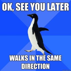 lyricallunatic:  Best awkward penguin EVER.