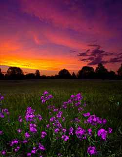 agoodthinghappened:  Somber by PhilKoch on