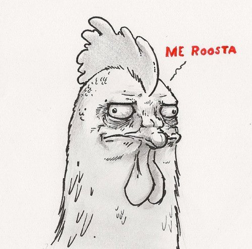 scynamon:  morphingpsychedelic:  Me roosta.  This just makes so much sense 