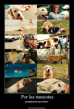 Marley &amp; me :C :FOREVER CRY: T____________T