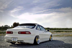 caseyinmotion:  JDM Gold. 