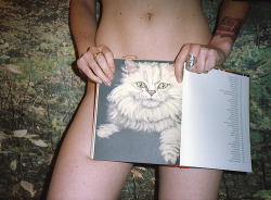 daisyloveskitty:  blindthoughts:  Pussy  kitty  “Soft kitty,