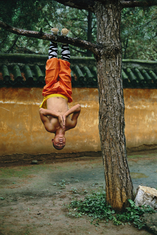 Porn culturalcrosspollination:  Shaolin Monk shaolin photos