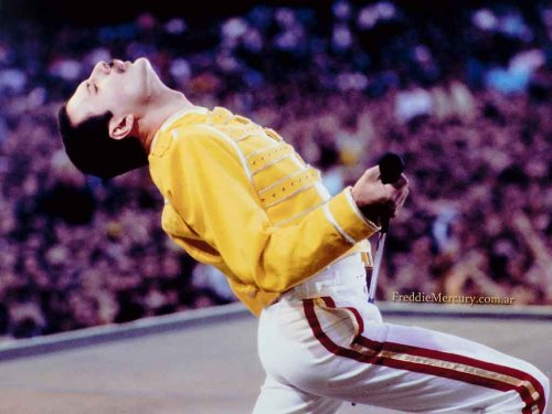 negentropi:  “The show must go on!” 