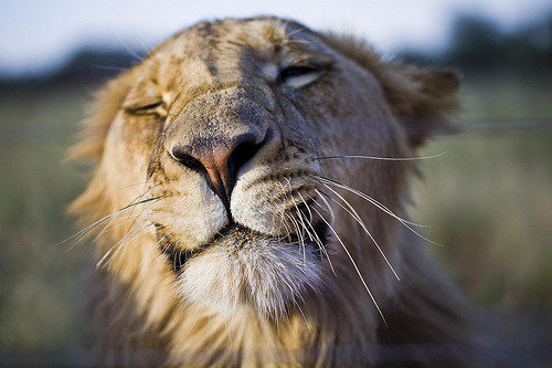 there should be someone there scratching her head&hellip;
