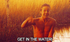 foodbeersexwhatever:  Whatever you say, Gosling. Whatever you say.