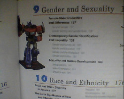 swordshade: harryflynn:  what the fuck is optimus prime doing in my sociology book   He’s going to teach you about race and gender equality, for freedom is the right of all sentient beings 