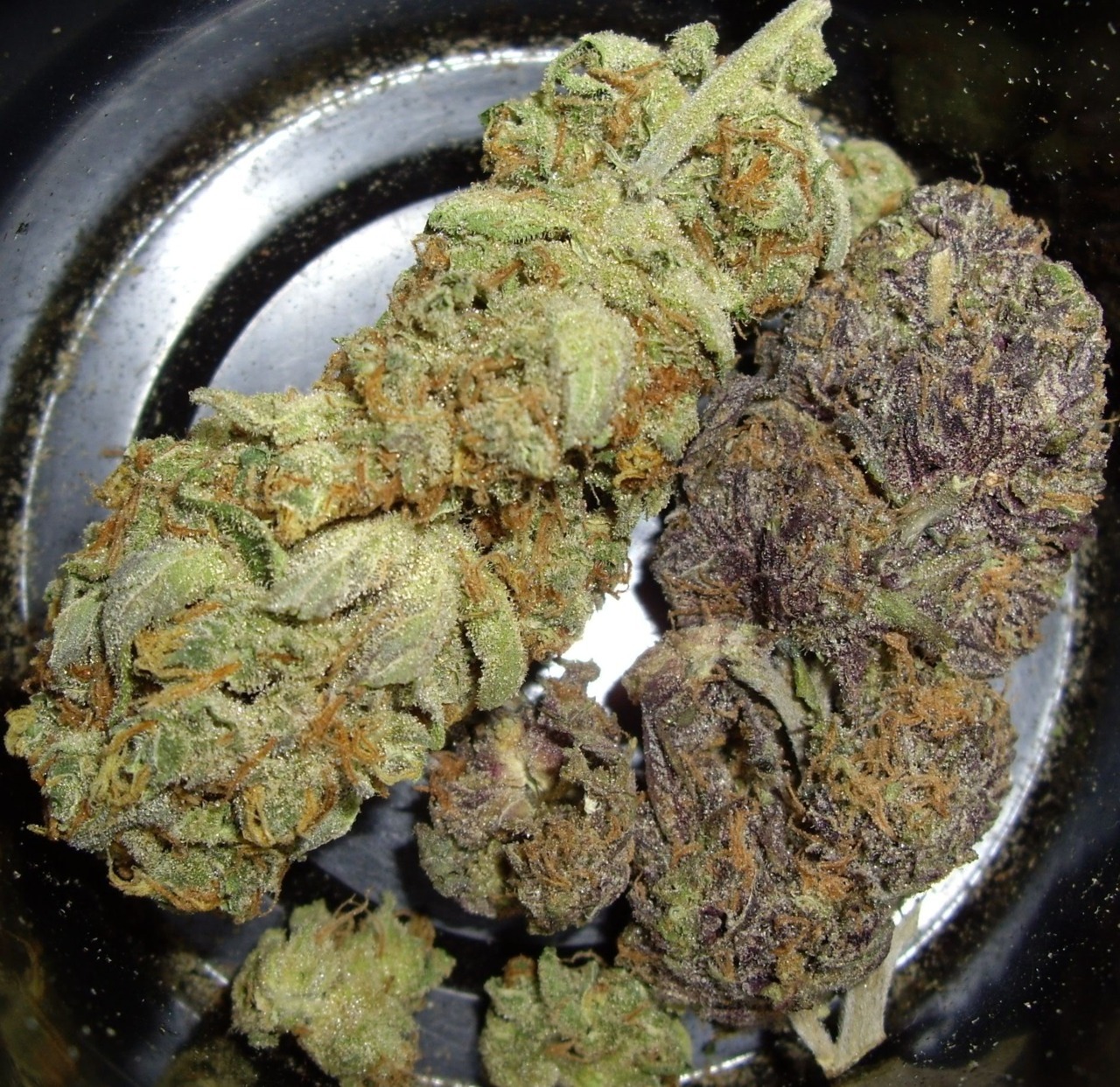 thatsgoodweed:  Indica &amp; sativa 