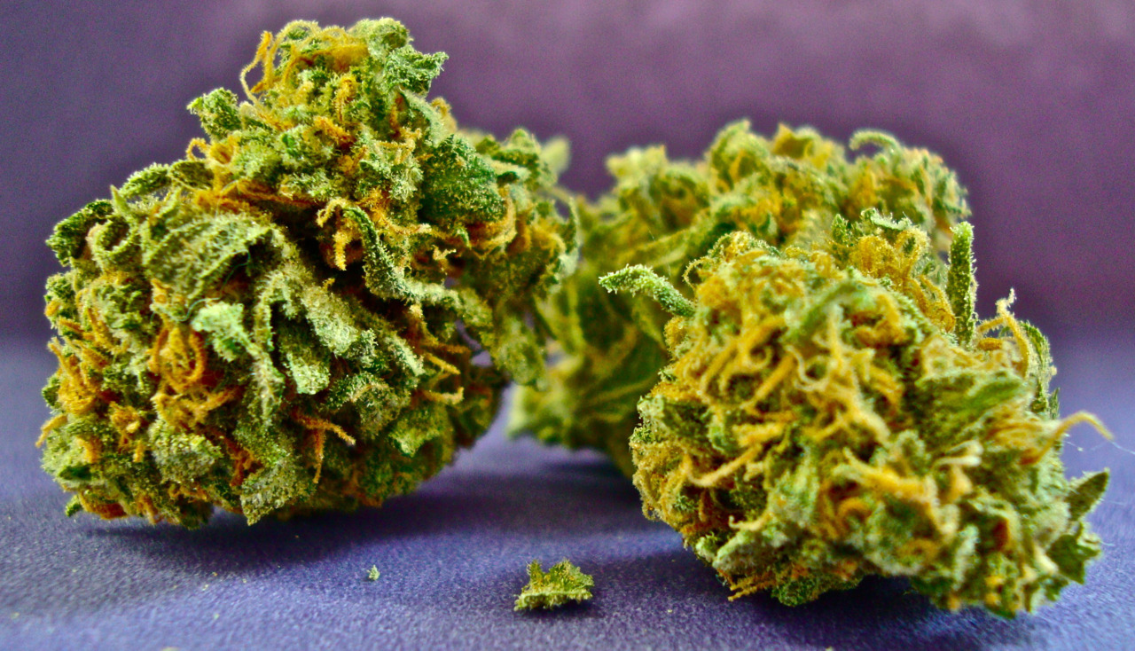 thatsgoodweed:  Strain Name: Hawaiian Cowabunga  