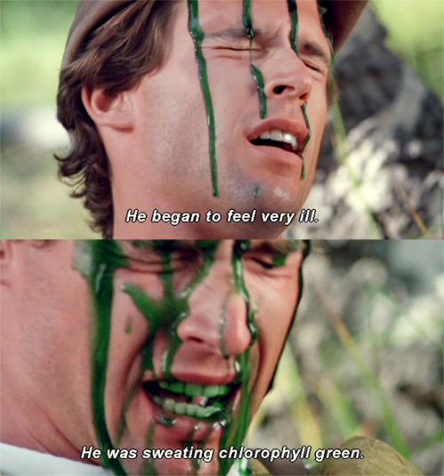 Troll 2, 1990.