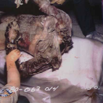   A victim of DOUGLAS CLARK AND CAROL BUNDY, the Sunset Strip Killers. Clark liked
