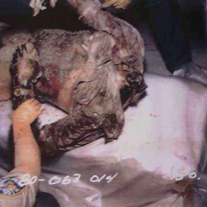   A victim of DOUGLAS CLARK AND CAROL BUNDY, the Sunset Strip Killers. Clark liked