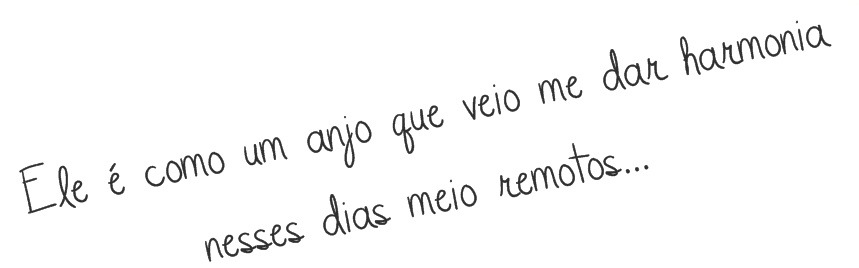 Permita-se.