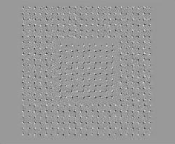 Optical Ilusion
