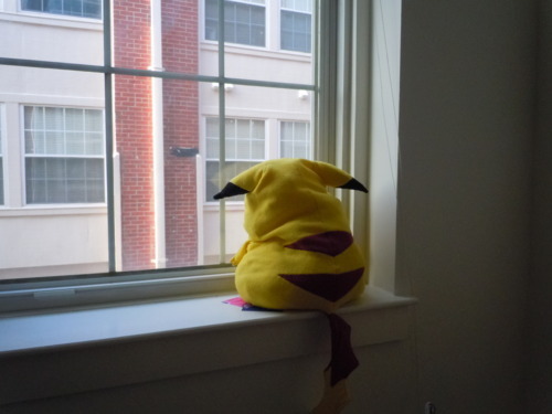 We put my big Pikachu in the window to scare adult photos