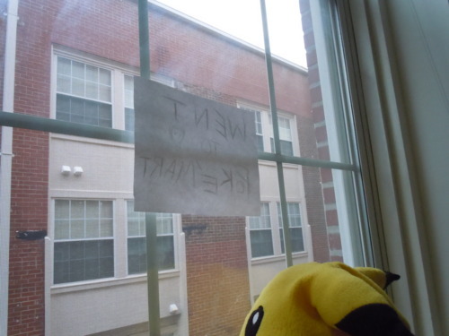 Porn We put my big Pikachu in the window to scare photos