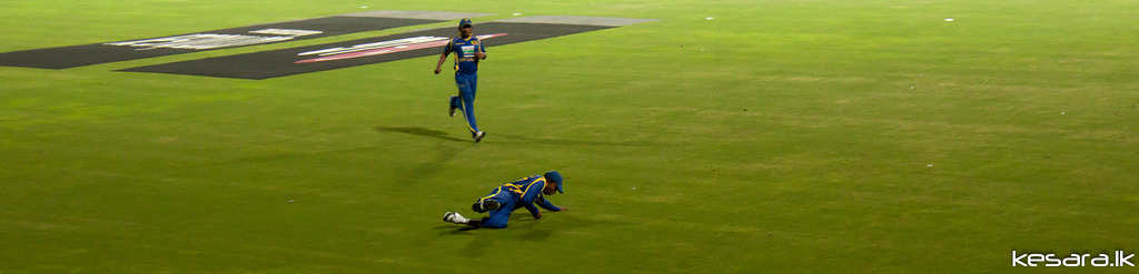 Mahela Dive In (Photograph by Kesara)