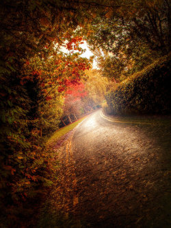 lori-rocks: Autumn Road  By 4420