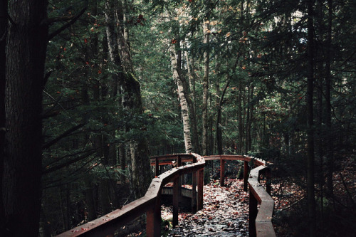 boyscout: untitled by Єmma Brown on Flickr.