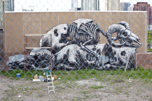 Belgian street artist ROA blessed the city of Chicago with this 90 ft wonderful work of art. The wal