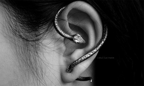 dancingphantom:  holybat:  laudanumandarsenic:  caustica  I need this.  I love snake jewelry :D 