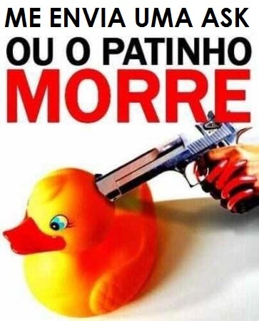 Nada como um Dia após o outro Dia.
