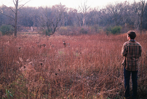 7292:Deer whispering. (by abbyjanky)