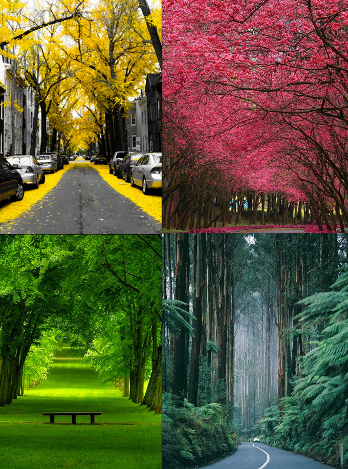  Que lugares perfeitos :/ 