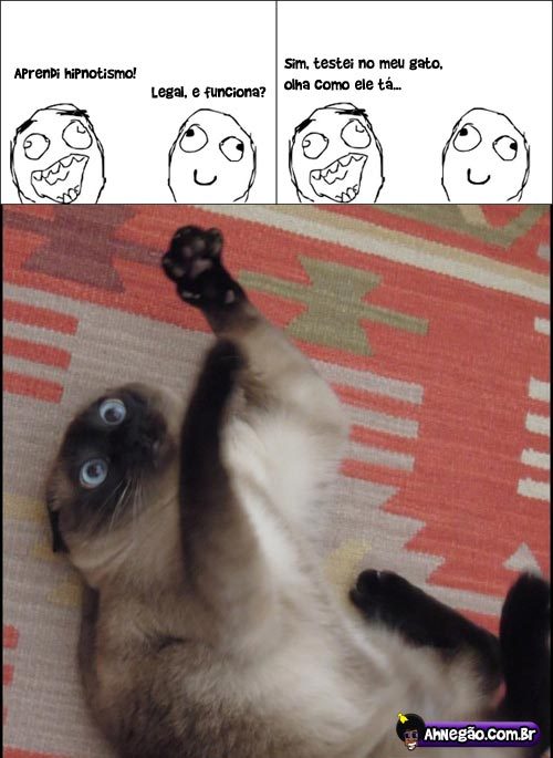 hum... miojo :3