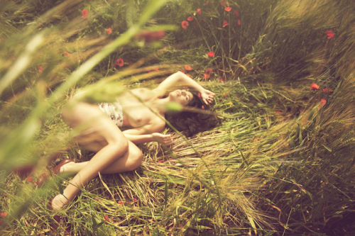 By Ludovic Taillandier