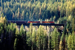 sav3mys0ul:  Train Coming Through (by Todd Klassy) 